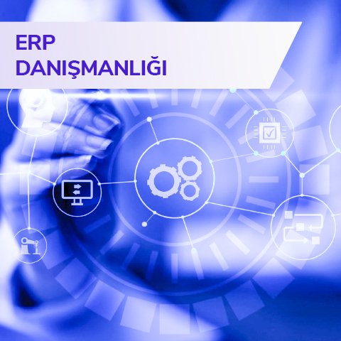  ERP Danışmanlığı 